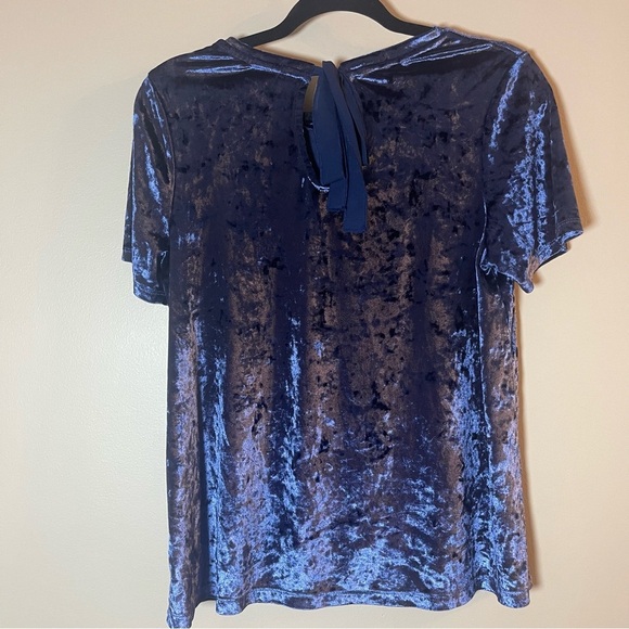 Cynthia Rowley Velvet Top in Rich Blue - Picture 7 of 9